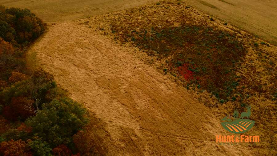 Still 2025-11-29 081237_1.16.1.jpg